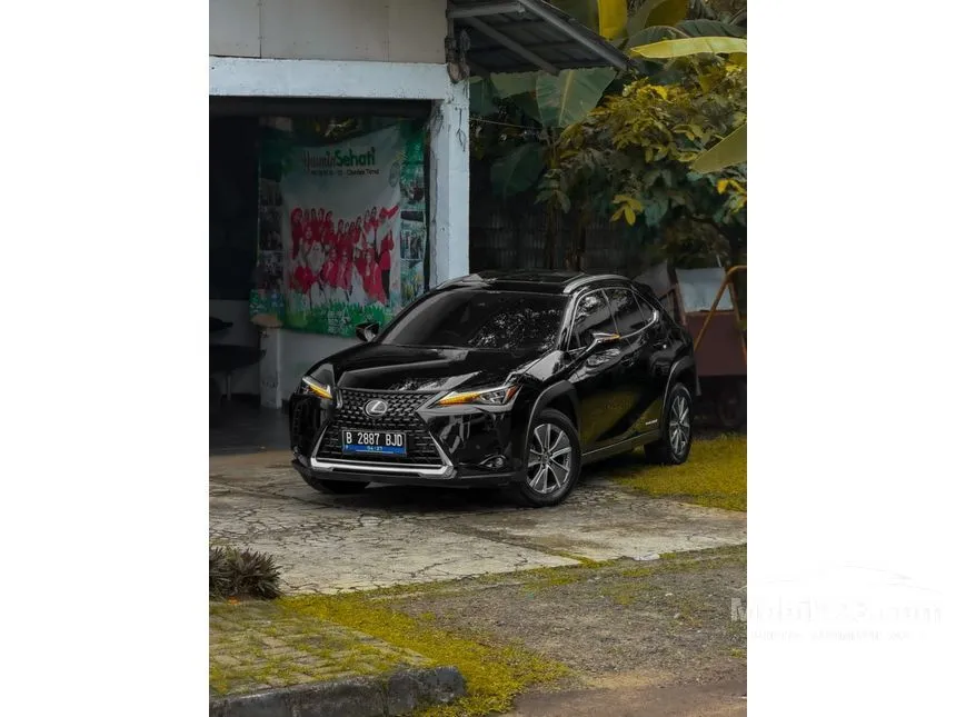 2022 Lexus UX 300e SUV