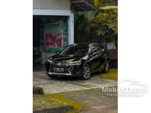 2022 Lexus UX 300e SUV