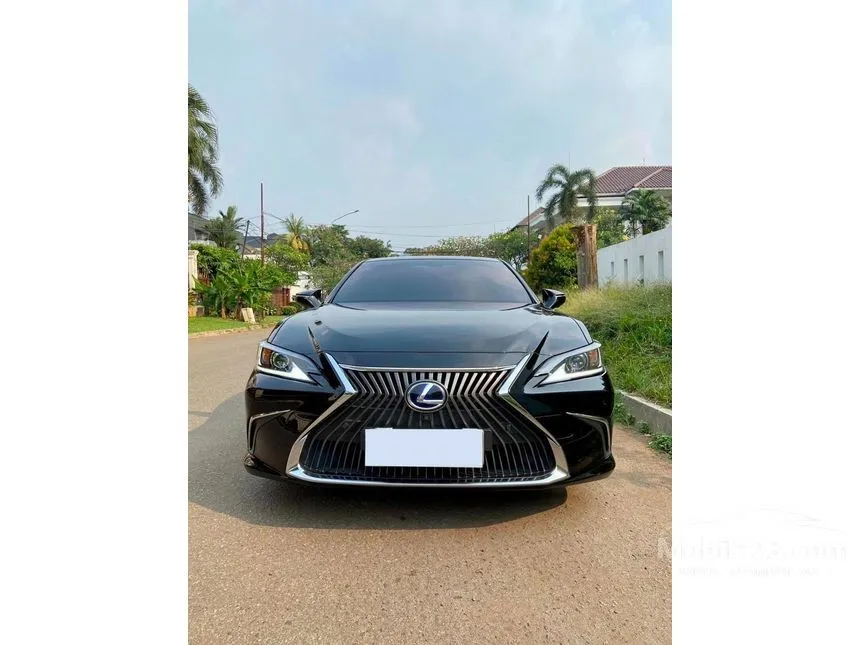 2019 Lexus ES 300h Ultra Luxury Sedan