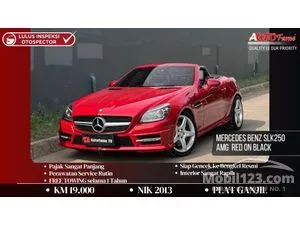 2013 Mercedes-Benz SLK250 1.8 AMG Convertible