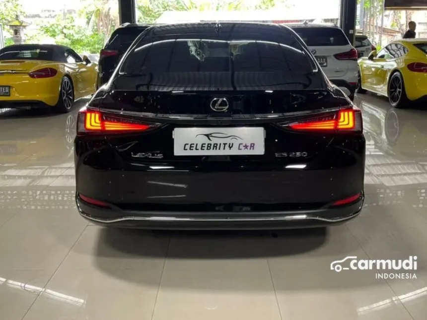 2019 Lexus ES250 Ultra Luxury Sedan
