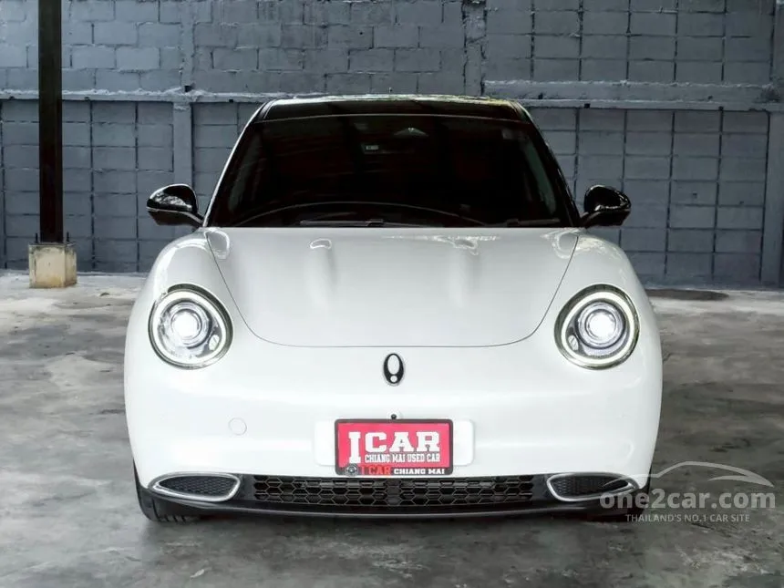 2024 ORA Good Cat Pro Hatchback