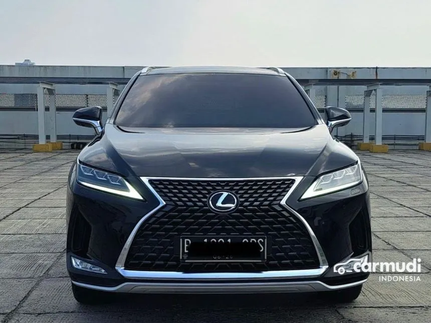 2021 Lexus RX300 Luxury SUV