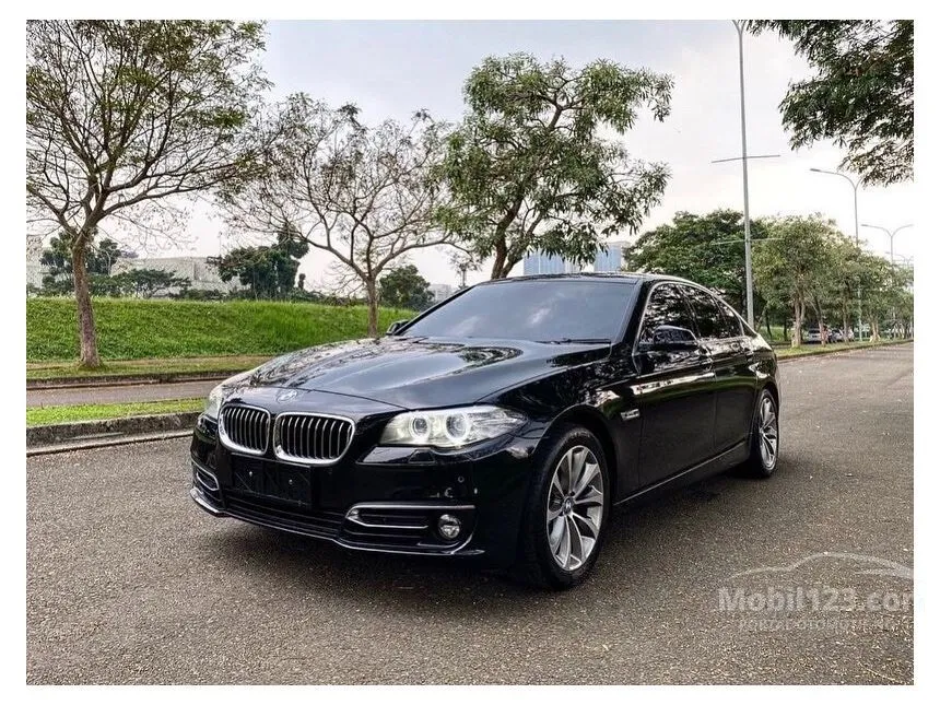 2016 BMW 520d Luxury Sedan