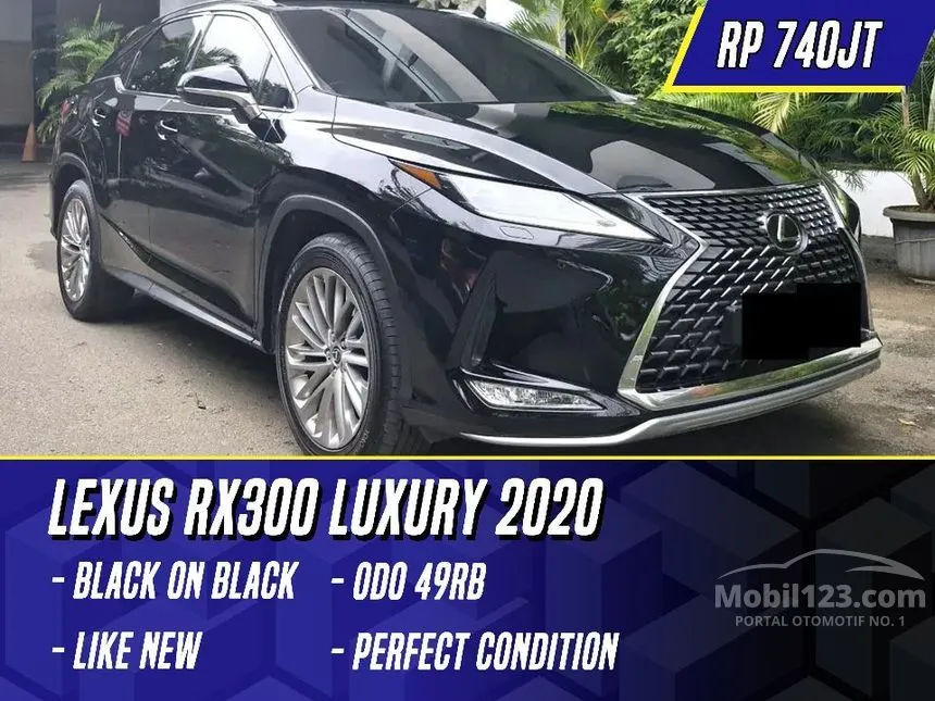 2020 Lexus RX 300 Luxury SUV