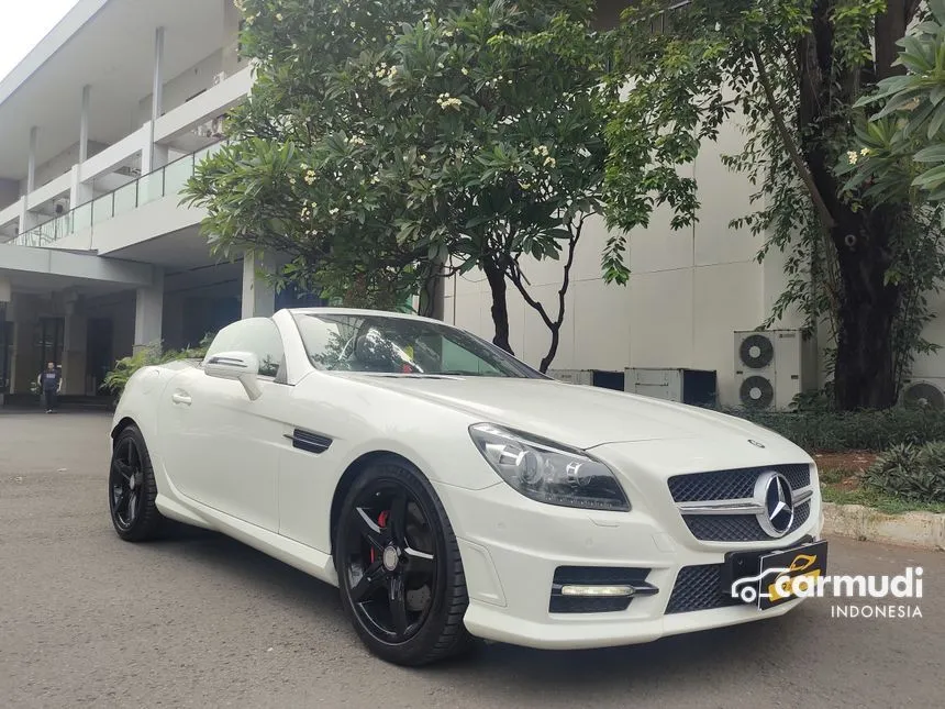 2012 Mercedes-Benz SLK250 AMG Convertible