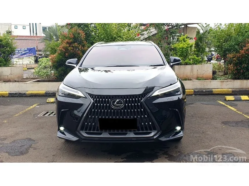 2023 Lexus NX 250 Luxury SUV