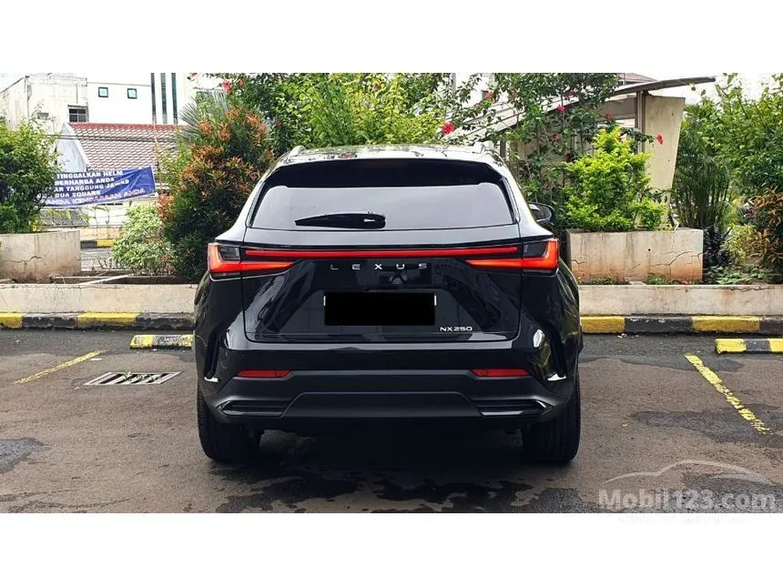 2023 Lexus NX 250 Luxury SUV
