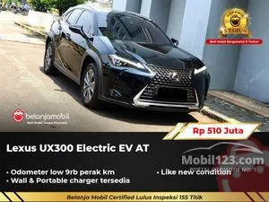2022 Lexus UX 300e SUV
