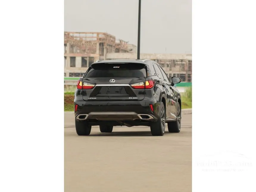2018 Lexus RX 300 Luxury SUV