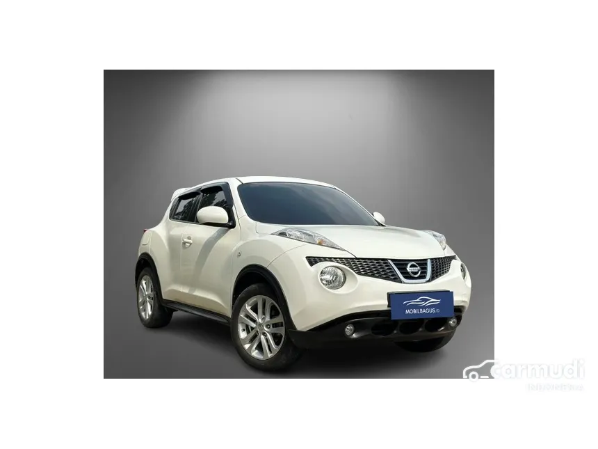 2011 Nissan Juke RX SUV