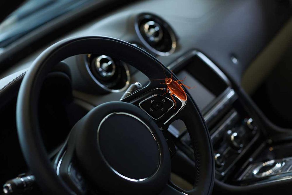 Cara Halau Lipas dalam Kereta Anda dengan Tips Rahsia Ini