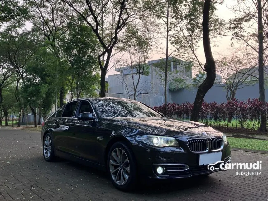 2015 BMW 520i Luxury Sedan