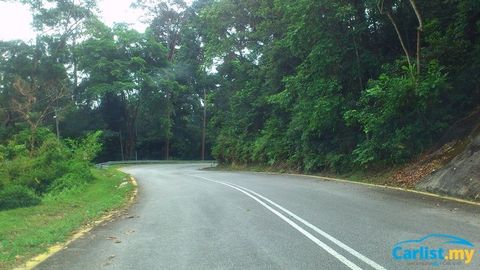 Should There Be a "Car-Free Day" Once a Month to Reduce Pollution?