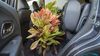 Review: Honda HR-V Hybrid