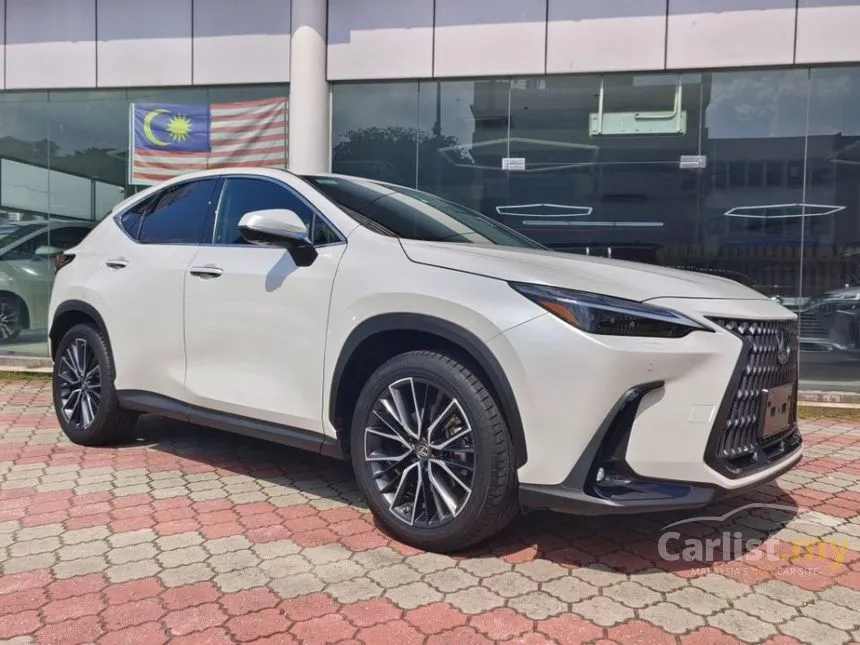 2023 Lexus NX250 Luxury SUV