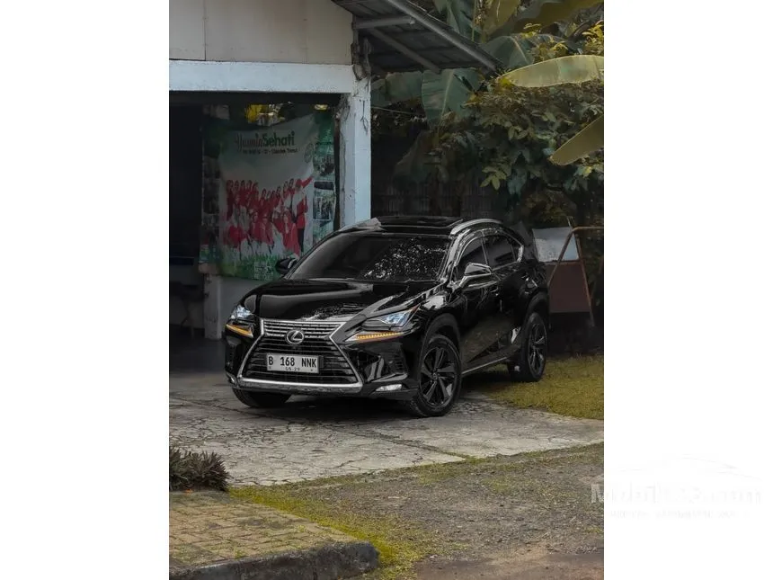 2018 Lexus NX 300 Luxury SUV