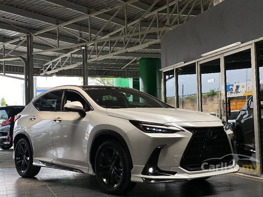 2023 Lexus NX250 Luxury SUV