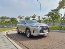 2020 Lexus RX 300 2.0 Luxury SUV