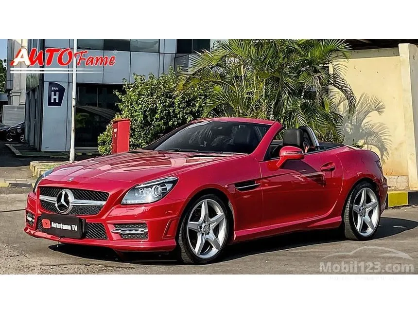 2013 Mercedes-Benz SLK250 AMG Convertible