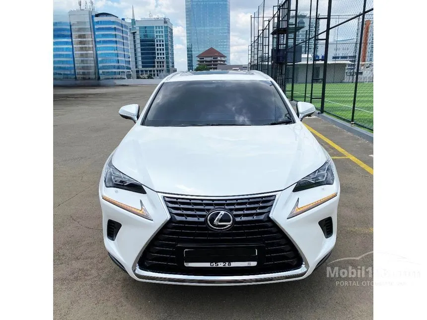 2018 Lexus NX 300 Luxury SUV