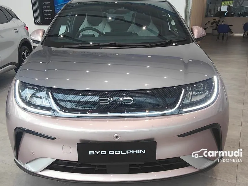 2024 BYD Dolphin Premium Extended Range Hatchback