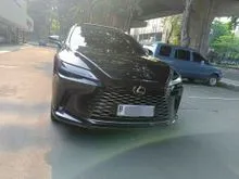 2024 Lexus RX 450h+ 2.5 Luxury SUV