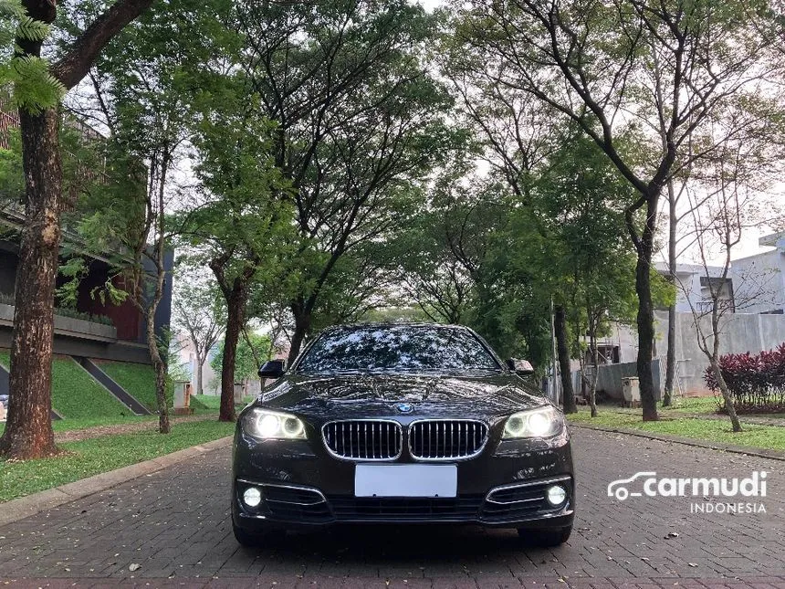 2015 BMW 520i Luxury Sedan