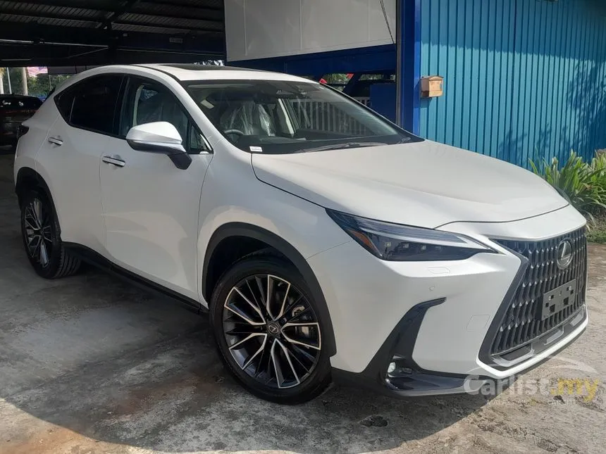 2022 Lexus NX250 Luxury SUV