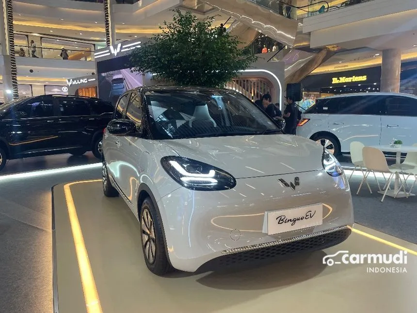 2024 Wuling Binguo EV Premium Range Hatchback