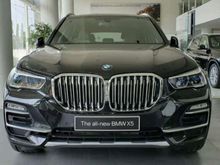 2019 BMW X5 3.0 xDrive40i xLine SUV