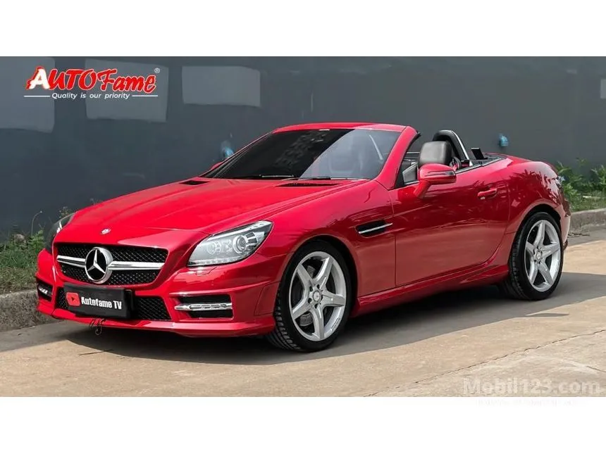 2013 Mercedes-Benz SLK250 AMG Convertible