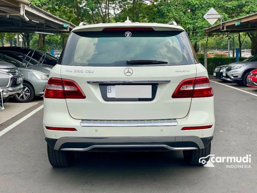 2013 Mercedes-Benz ML250 CDI SUV