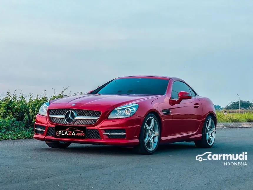 2011 Mercedes-Benz SLK250 AMG Convertible