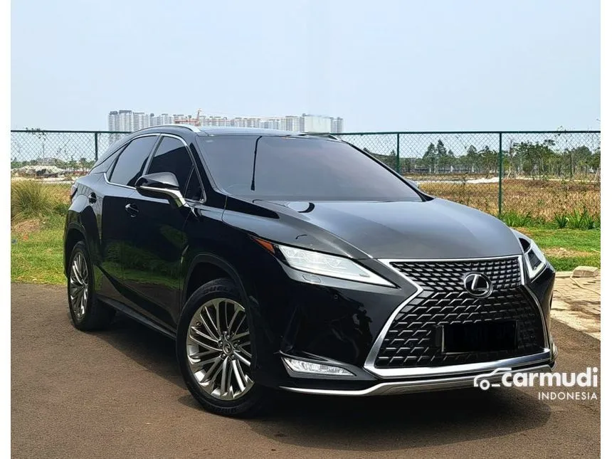 2021 Lexus RX300 Luxury SUV