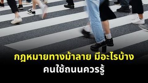 กฎหมายทางม้าลาย มีอะไรบ้าง คนใช้ถนนควรรู้