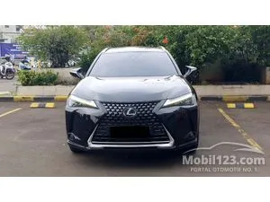 2022 Lexus UX 300e SUV