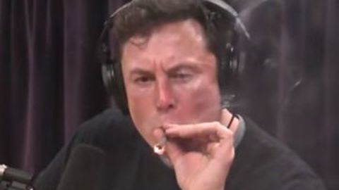 Elon Musk Sindir Orang Terkaya di Dunia Sebagai Tukang Jiplak