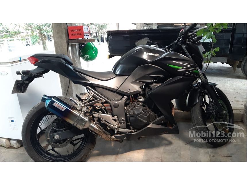 2013 Kawasaki Z250 Others