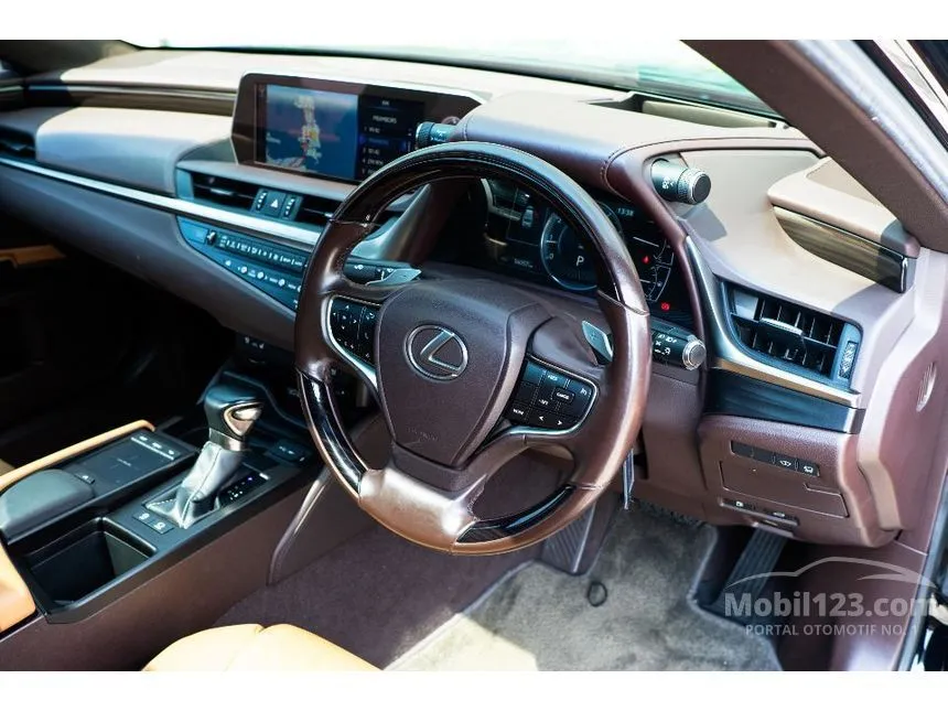 2019 Lexus ES 250 Ultra Luxury Sedan