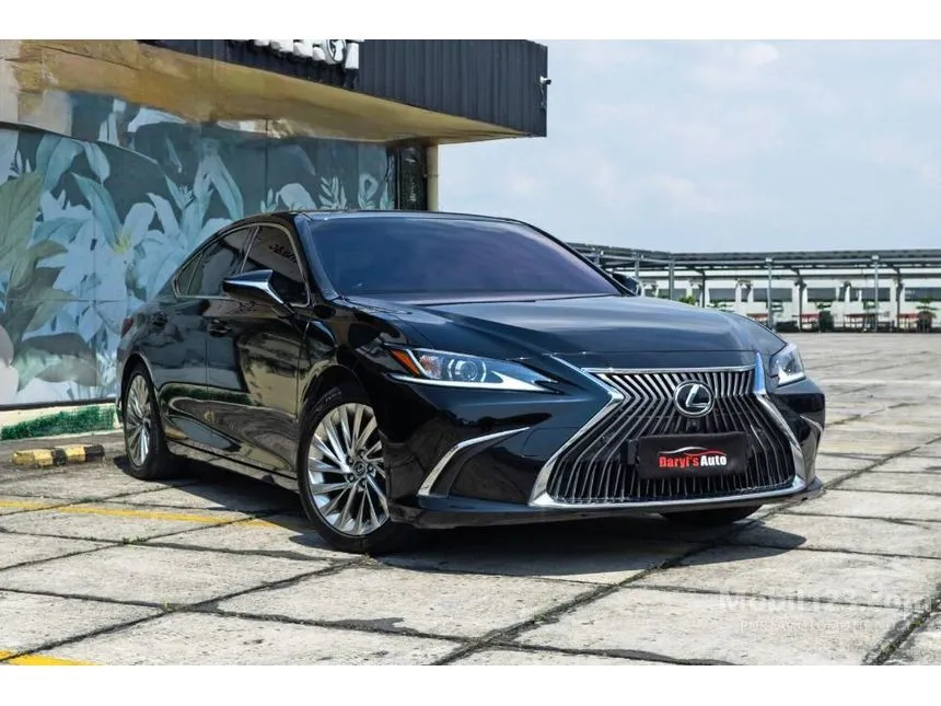 2019 Lexus ES 250 Ultra Luxury Sedan