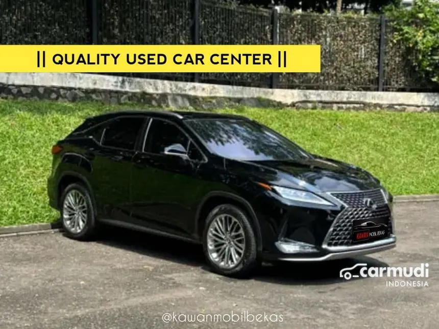 2019 Lexus RX 300 Luxury SUV