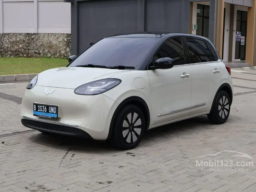 2024 Wuling Binguo EV 410 Premium Range AC/DC Hatchback