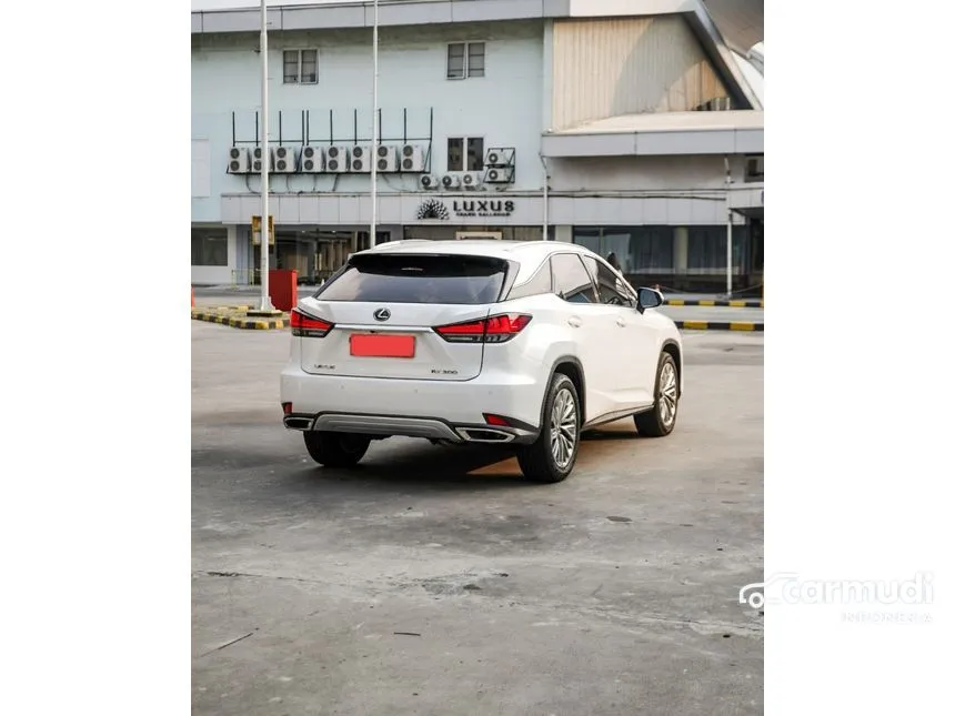 2021 Lexus RX 300 Luxury SUV