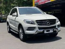 2013 Mercedes-Benz ML250 2.1 CDI SUV