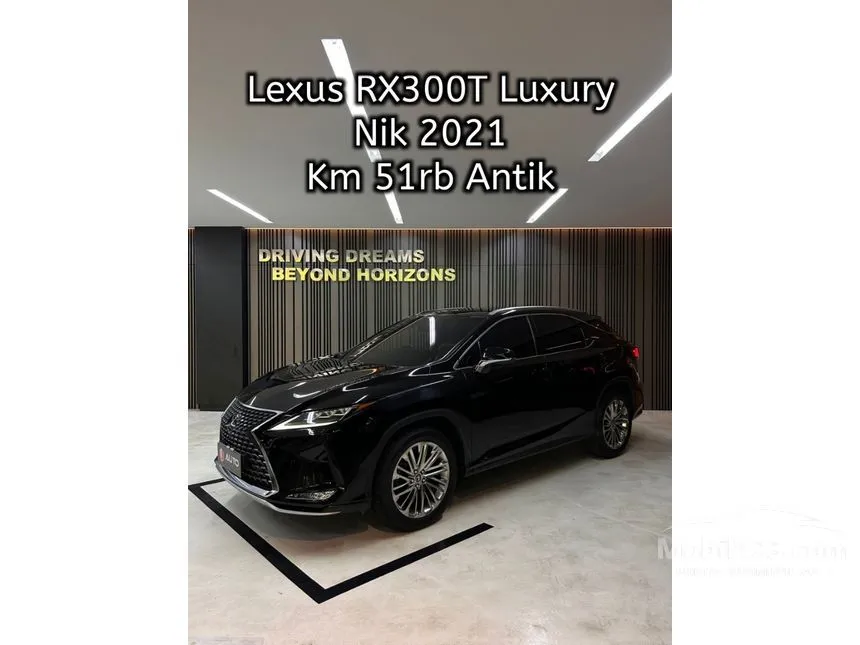 2021 Lexus RX 300 Luxury SUV