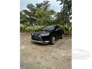 2020 Lexus RX 300 2.0 Luxury SUV