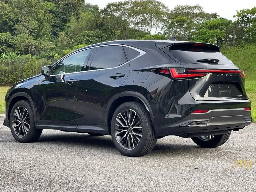 2022 Lexus NX250 Luxury SUV