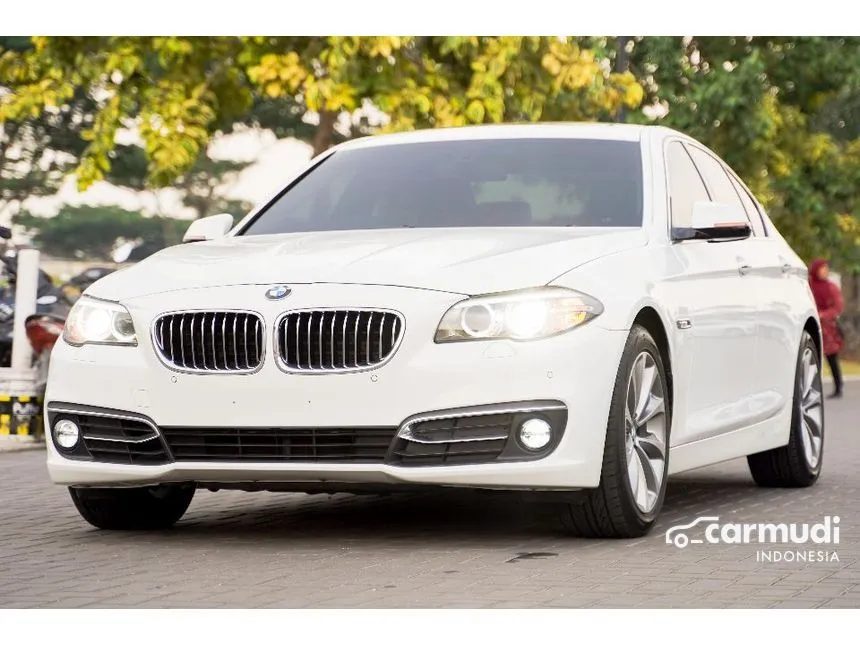 2014 BMW 520i Luxury Sedan