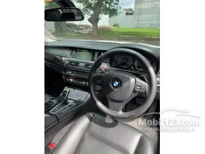 2014 BMW 528i 2.0 Luxury Sedan